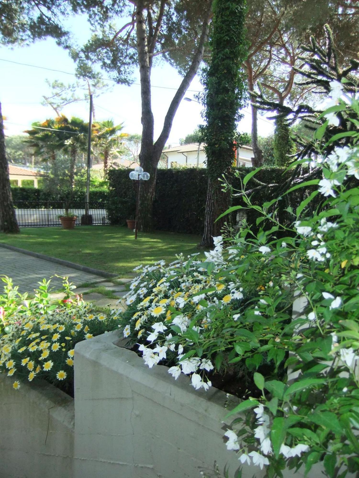 Hotel Giulio Cesare 3*