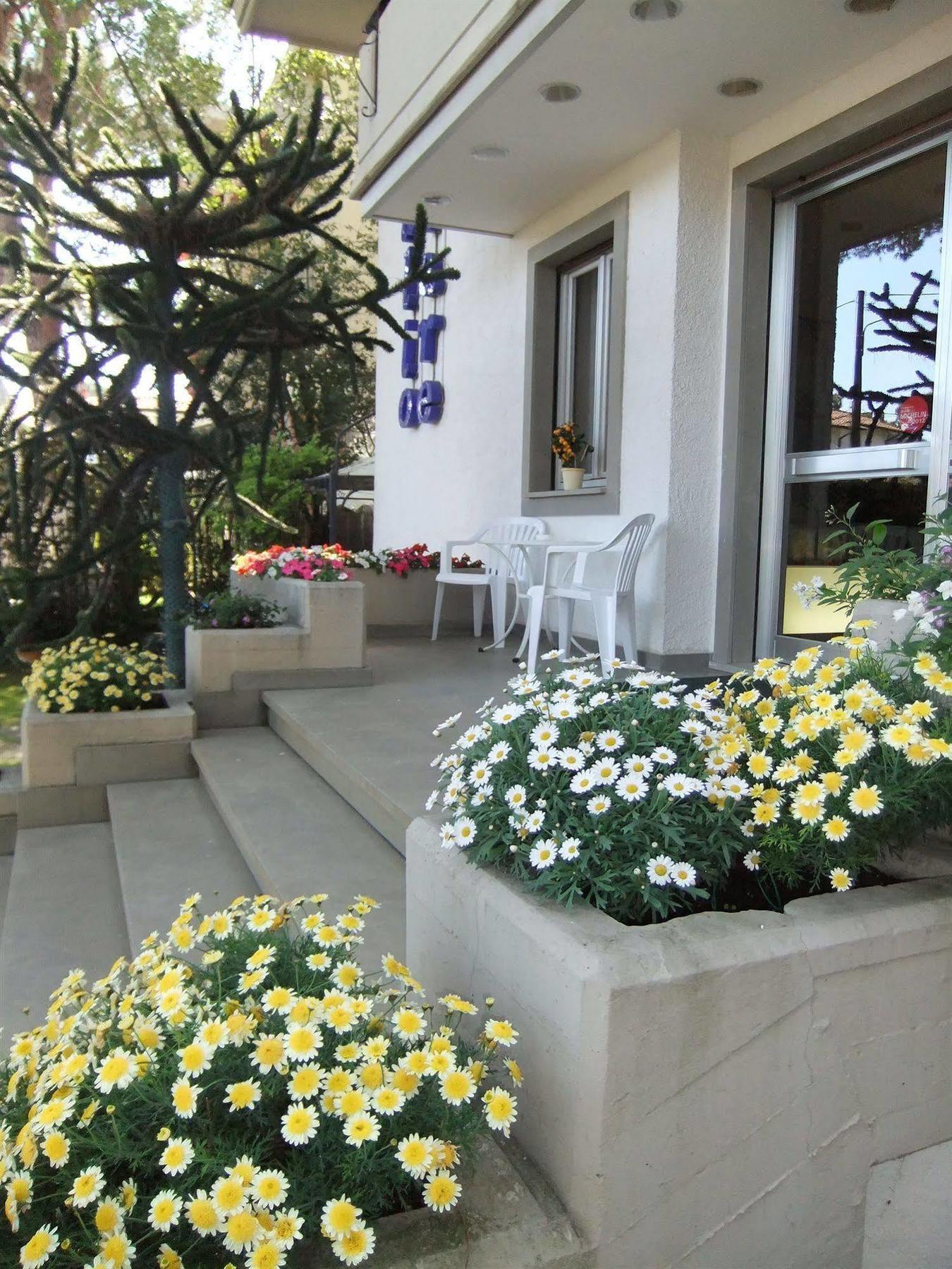Giulio Cesare Hotel Cinquale